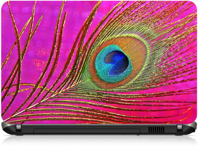 

Box 18 Peacock feather 3021011 Vinyl Laptop Decal 15.6