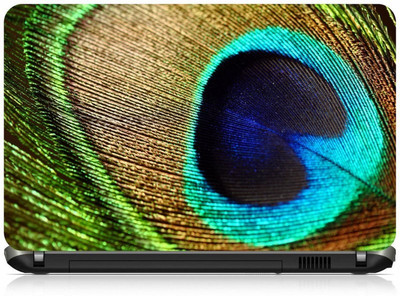 

Box 18 Peacock Feather 1839 Vinyl Laptop Decal 15.6