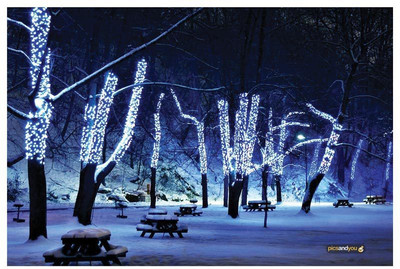 

Pics And You Pics And You Christmas Themed 78 Laptop Skin Vinyl Laptop Decal 15.6