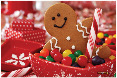 

Pics And You Pics And You Christmas Themed 169 Laptop Skin Vinyl Laptop Decal 15.6