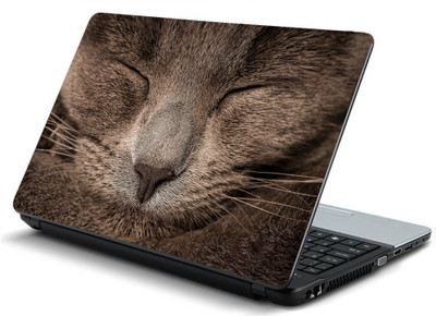 

Geek cat sleeping cover HQ Laminated Vinyl Laptop Decal 15.6