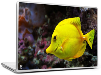 

Print Shapes Yellow Fish Vinyl Laptop Decal 15.6