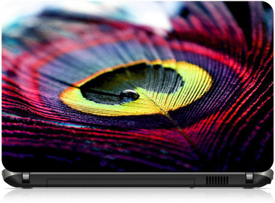 

Box 18 Peacock Feather1151675 Vinyl Laptop Decal 15.6