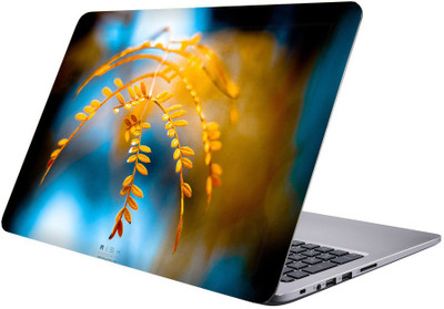

Printclub Multicolor-489 Vinyl Laptop Decal 15.6