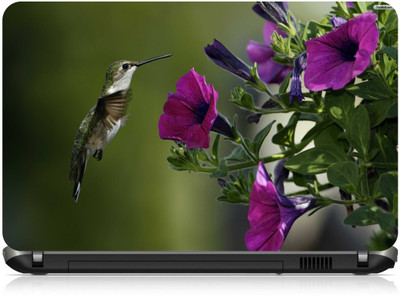 

Box 18 beautiful Humming Bird1455 Vinyl Laptop Decal 15.6