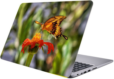

Printclub Designer-261 Vinyl Laptop Decal 15.6