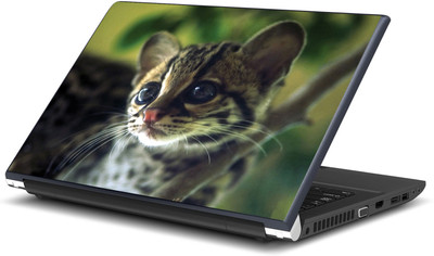 

Artifa Cute Brown Cat Vinyl Laptop Decal 15.6