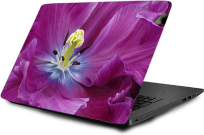 

Printclub Laptop Skin decal 15.6 inch- Laptop skin-416 Vinyl Laptop Decal 15.6