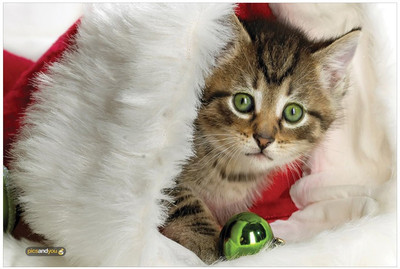 

Pics And You Pics And You Christmas Themed 296 Laptop Skin Vinyl Laptop Decal 15.6