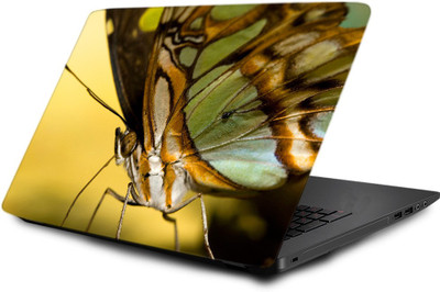 

Printclub Laptop Skin decal 15.6 inch- Laptop skin-701 Vinyl Laptop Decal 15.6