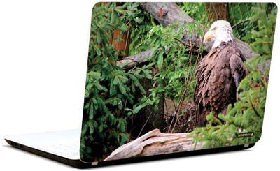 Pics And You Animal Themed 381 3M/Avery Vinyl Laptop Decal 15.6
