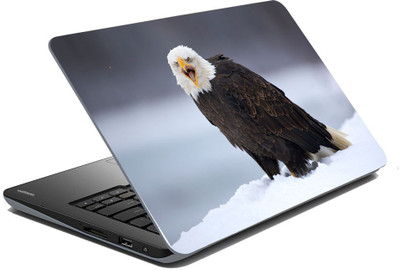 meSleep Wild Life 70-499 Vinyl Laptop Decal 15.6 available at flipkart for Rs.199