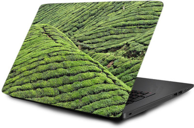 Printclub Laptop Skin decal 15.6 inch- Laptop skin-517 Vinyl Laptop Decal 15.6