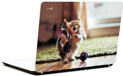 

Pics And You Kitty On Toes Vinyl Laptop Decal 15.6