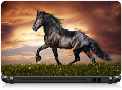 

Box 18 Arabian Stallion652 Vinyl Laptop Decal 15.6