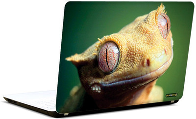 

Pics and You Animal Themed 332 3M/Avery Vinyl Laptop Decal 15.6