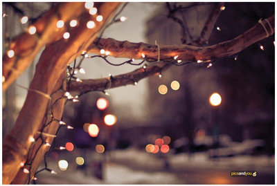 

Pics And You Pics And You Christmas Themed 102 Laptop Skin Vinyl Laptop Decal 15.6