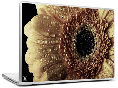 

Print Shapes Water droplets on flower Vinyl Laptop Decal 15.6