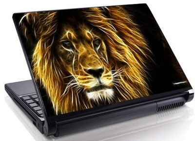 

Theskinmantra Bravo Wisdom Vinyl Laptop Decal 15.6