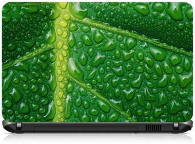 

Box 18 Watered Leaf Abstract 1949 Vinyl Laptop Decal 15.6