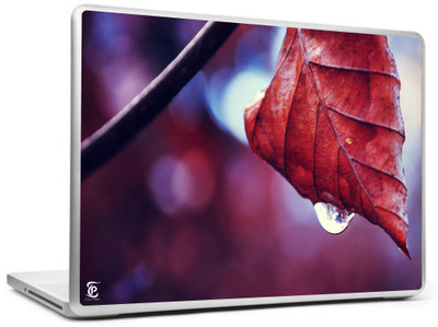 

Print Shapes Red leaf water drop fall Vinyl Laptop Decal 15.6