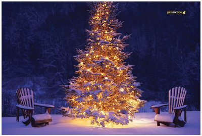 

Pics And You Pics And You Christmas Themed 310 Laptop Skin Vinyl Laptop Decal 15.6