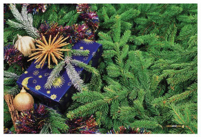 

Pics And You Pics And You Christmas Themed 294 Laptop Skin Vinyl Laptop Decal 15.6