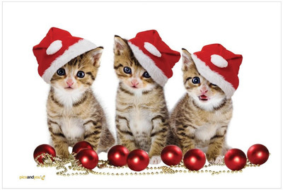 

Pics And You Pics And You Christmas Themed 247 Laptop Skin Vinyl Laptop Decal 15.6