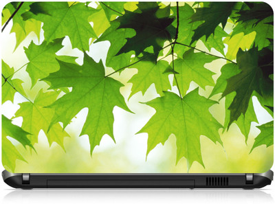 

Box 18 Leaves Green Maple628 Vinyl Laptop Decal 15.6