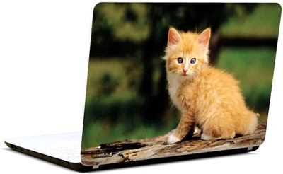 

Pics And You Animal Themed 322 3M/Avery Vinyl Laptop Decal 15.6