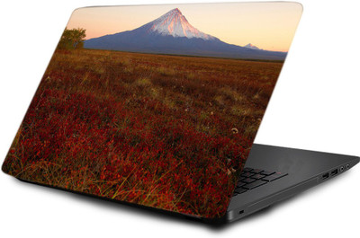 

Printclub Laptop Skin decal 15.6 inch- Laptop skin-736 Vinyl Laptop Decal 15.6