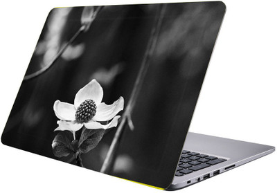 

Printclub Designer-269 Vinyl Laptop Decal 15.6