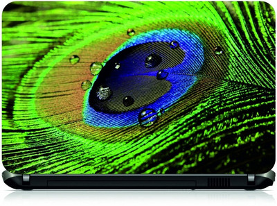 

Box 18 Peacock 45475 Vinyl Laptop Decal 15.6