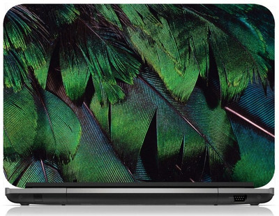 

Box 18 Peacock Wings1379 Vinyl Laptop Decal 15.6