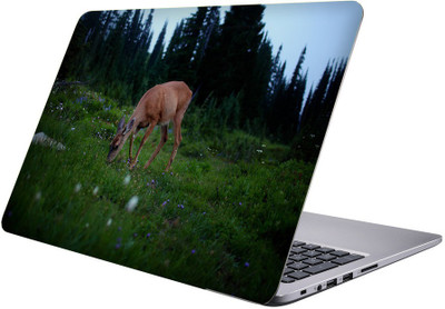 

Printclub Multicolor-172 Vinyl Laptop Decal 15.6