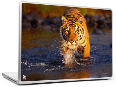 

Print Shapes Tiger in water Vinyl Laptop Decal 15.6