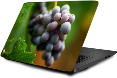 

Printclub Laptop Skin decal 15.6 inch- Laptop skin-594 Vinyl Laptop Decal 15.6