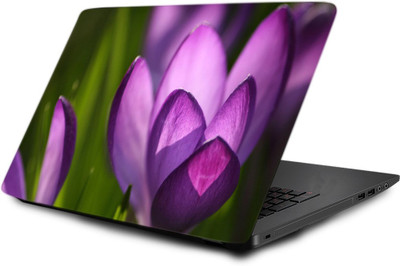 

Printclub Laptop Skin decal 15.6 inch- Laptop skin-045 Vinyl Laptop Decal 15.6
