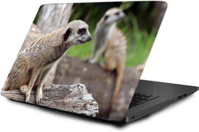 

Printclub Laptop Skin decal 15.6 inch- Laptop skin-549 Vinyl Laptop Decal 15.6