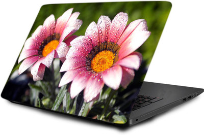 

Printclub Laptop Skin decal 15.6 inch- Laptop skin-539 Vinyl Laptop Decal 15.6