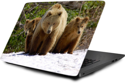 

Printclub Laptop Skin decal 15.6 inch- Laptop skin-752 Vinyl Laptop Decal 15.6