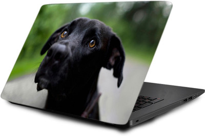 

Printclub Laptop Skin decal 15.6 inch- Laptop skin-482 Vinyl Laptop Decal 15.6