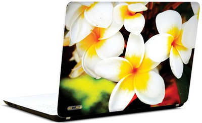 

Pics and You Just Tickeled Vinyl Laptop Decal 15.6
