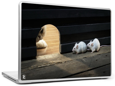 

Print Shapes Cat & mouses Vinyl Laptop Decal 15.6