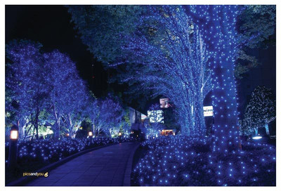 

Pics And You Pics And You Christmas Themed 63 Laptop Skin Vinyl Laptop Decal 15.6