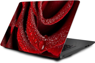 

Printclub Designer Stickers 15.6 inch- Laptop skin-010 Vinyl Laptop Decal 15.6