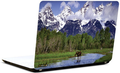 

Pics and You Animal Themed 218 3M/Avery Vinyl Laptop Decal 15.6