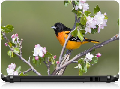 

Box 18 Beautiful Bird1421 Vinyl Laptop Decal 15.6