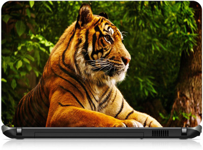 

Box 18 Tiger In Frame1468 Vinyl Laptop Decal 15.6