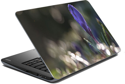 meSleep Nature LS-44-299 Vinyl Laptop Decal 15.6 available at flipkart for Rs.199